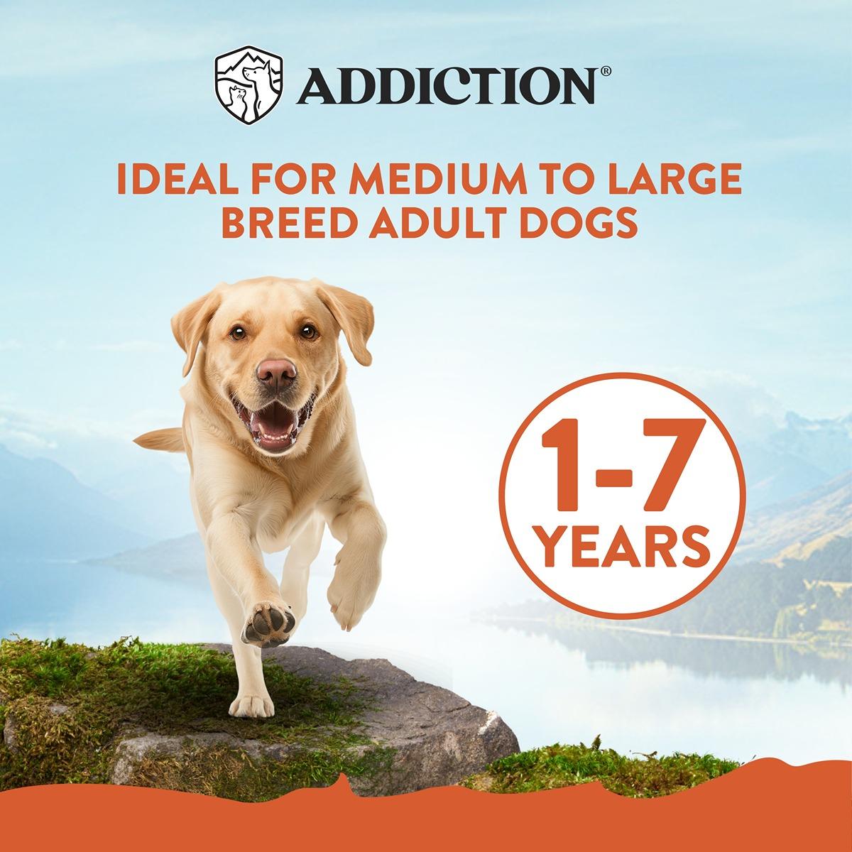 Addiction MEGA Large Breed Adult Dry Dog Food
