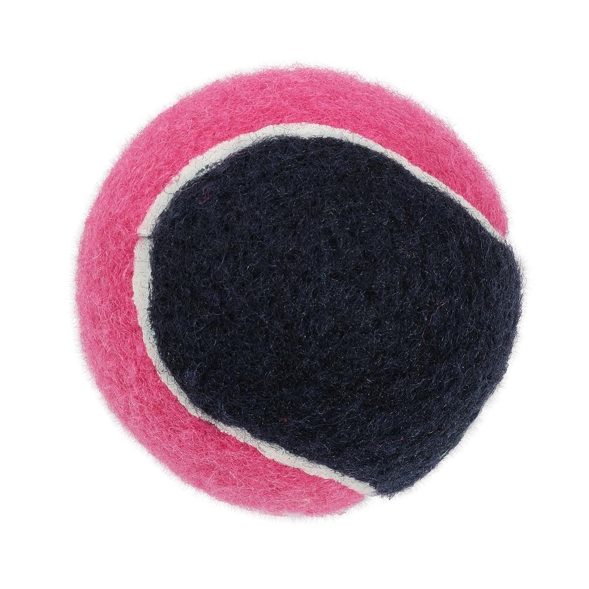 Petstock Foundation Tennis Ball Dual Colour