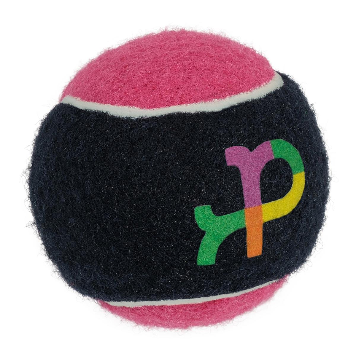 Petstock Foundation Tennis Ball Dual Colour