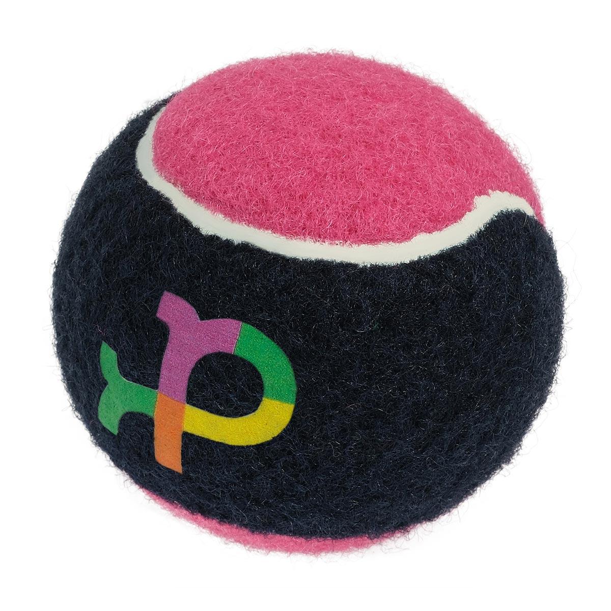 Petstock Foundation Tennis Ball Dual Colour