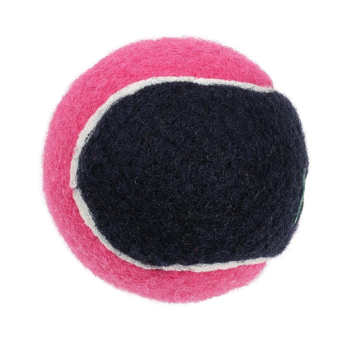 Petstock Foundation Tennis Ball Dual Colour