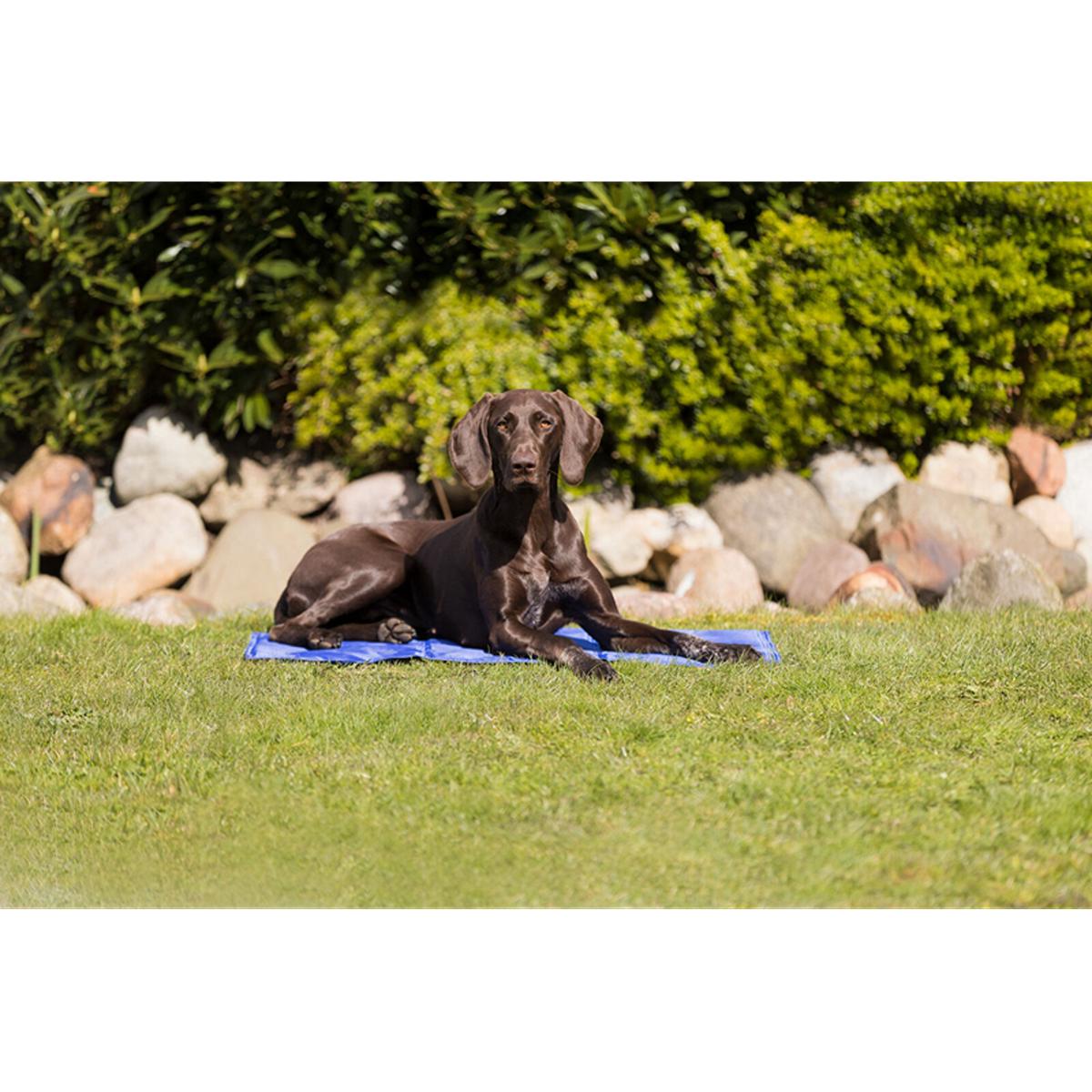 Trixie Cooling Mat