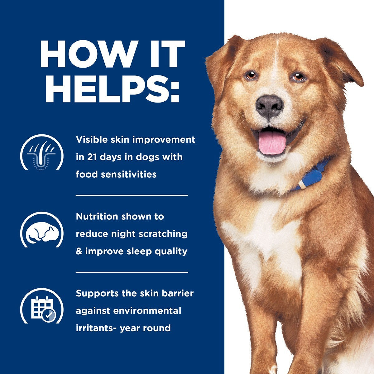 Hill’s Prescription Diet Derm Complete Canned Wet Dog Food