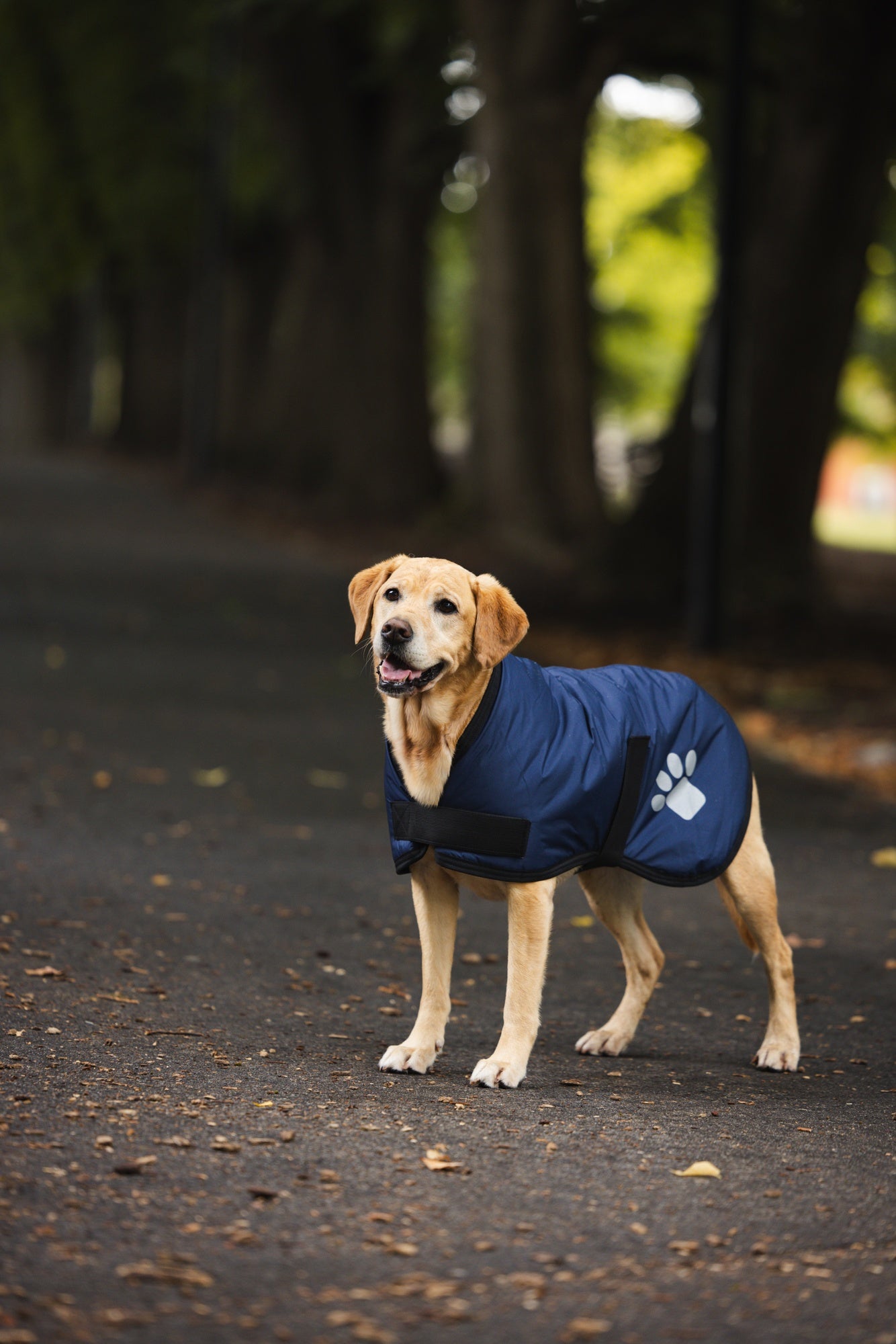 Ruff n Rugged Utility Coat Navy