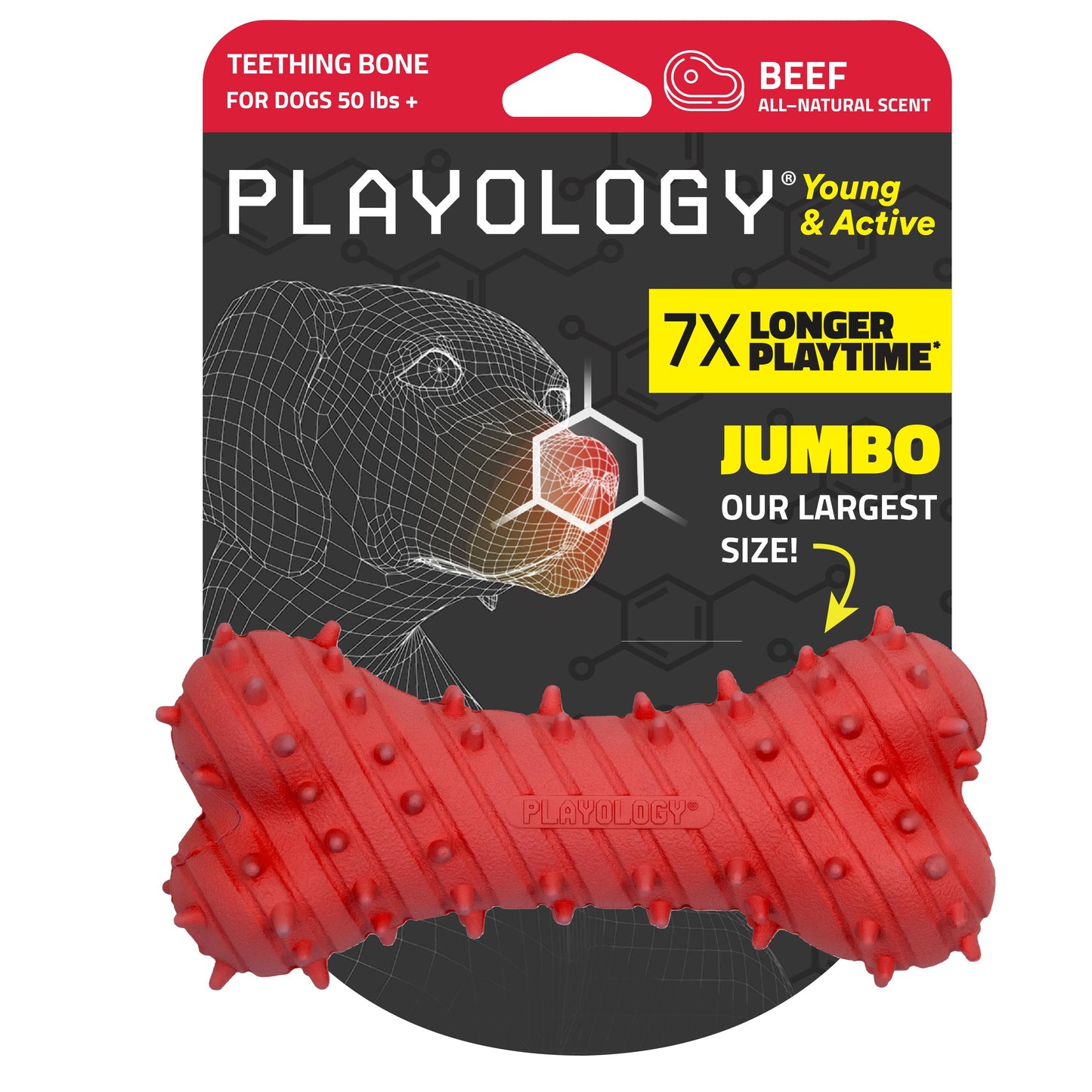 Playology Puppy Teething Bone Toy - Beef