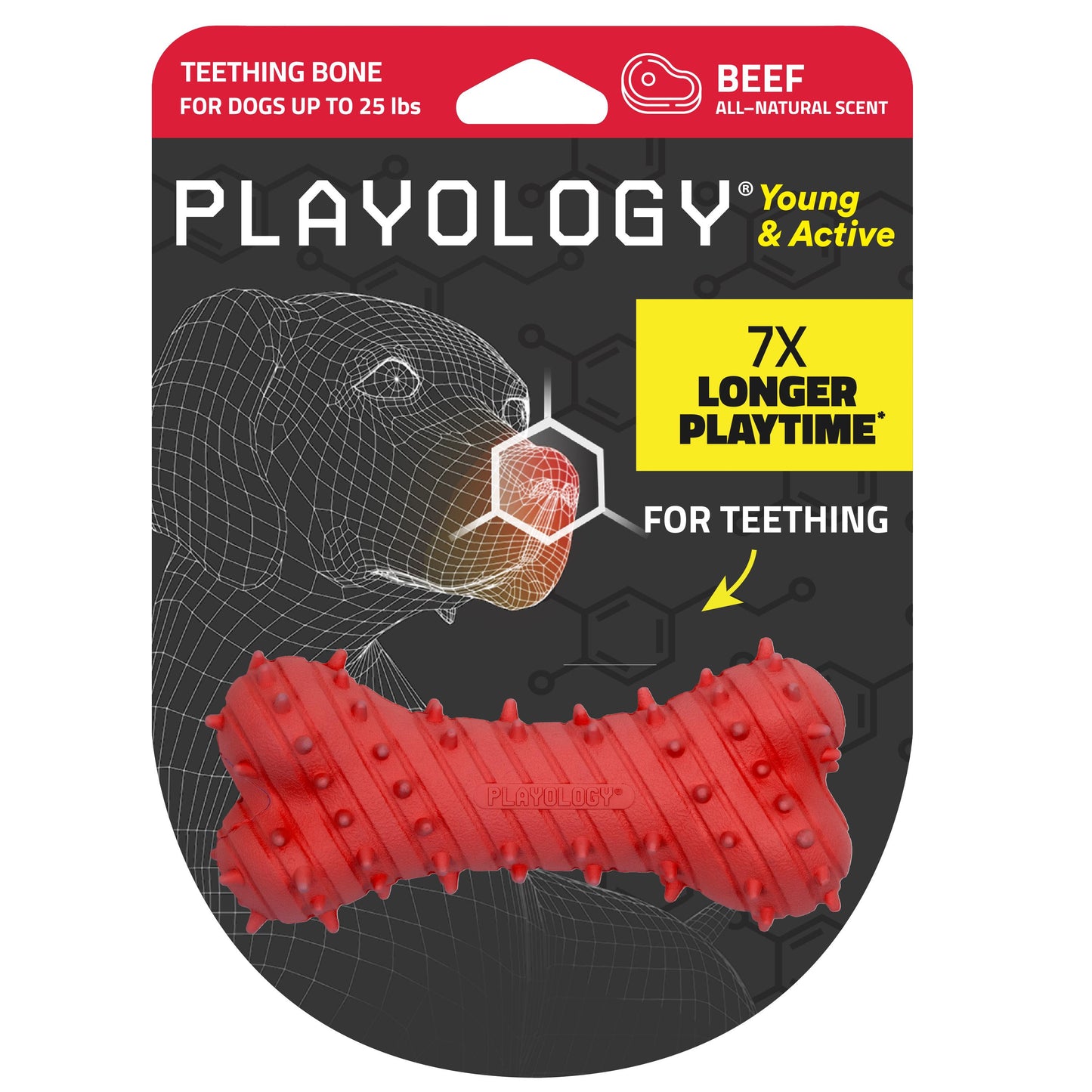 Playology Puppy Teething Bone Toy - Beef