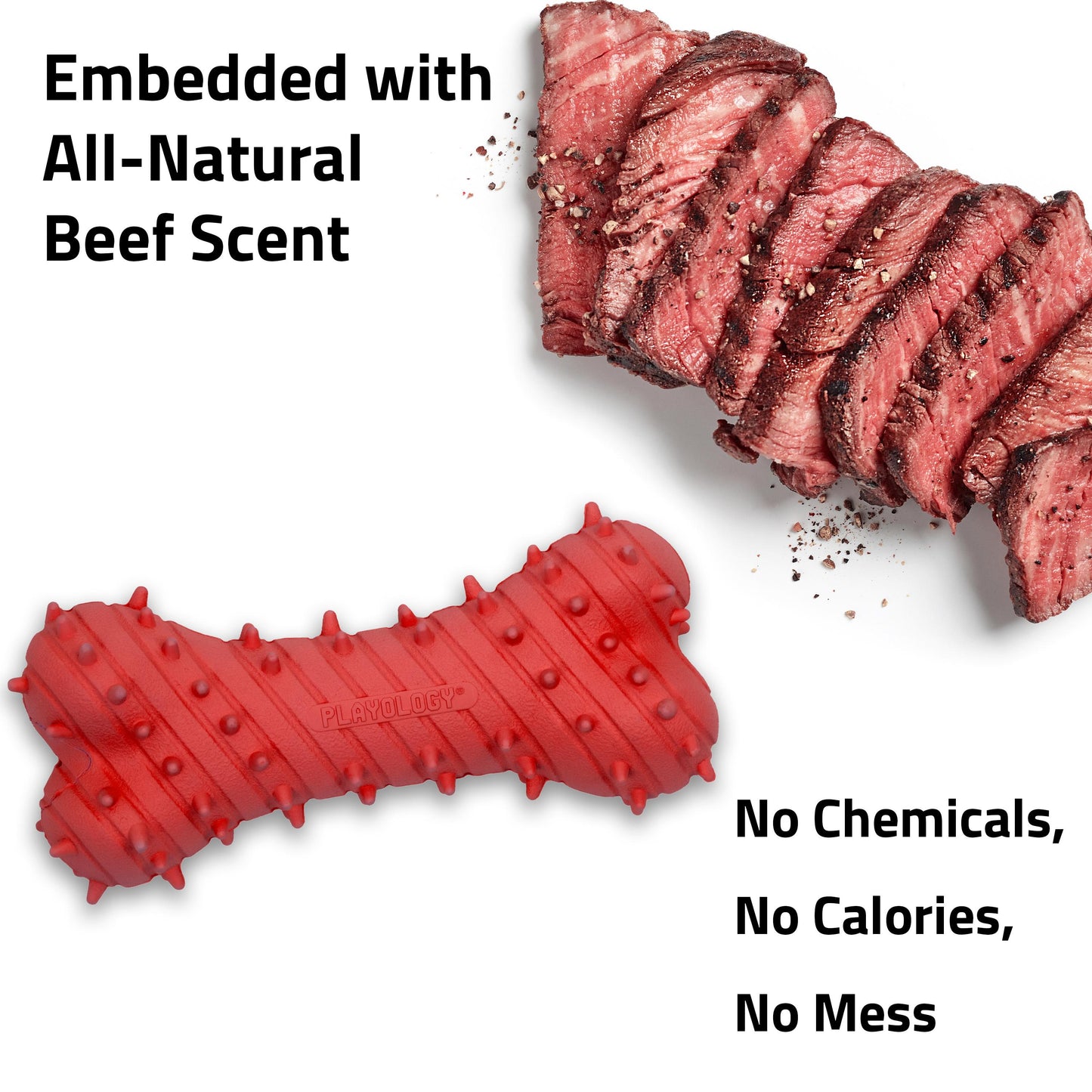 Playology Puppy Teething Bone Toy - Beef