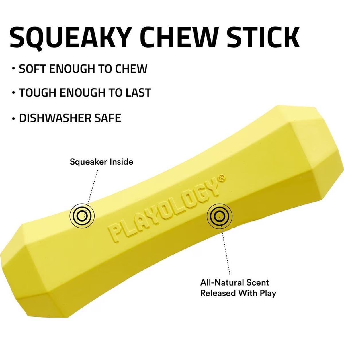 Playology Squeaky Chew Stick Toy- Chicken