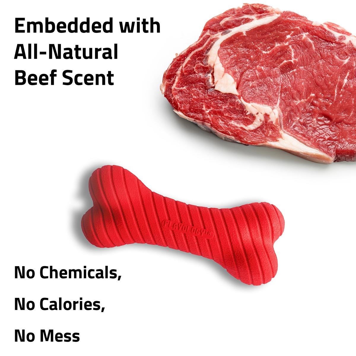 Playology Dual Layer Bone Toy - Beef