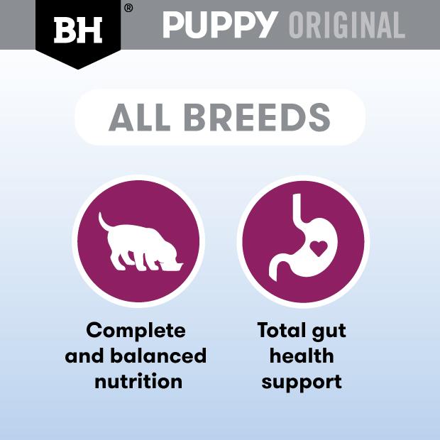 Black Hawk Lamb Puppy Wet Food Pouch