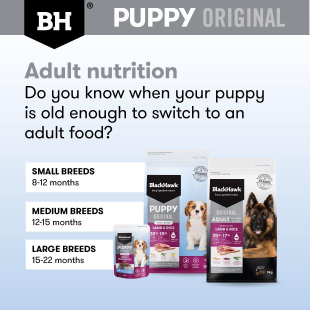 Black Hawk Lamb Puppy Wet Food Pouch