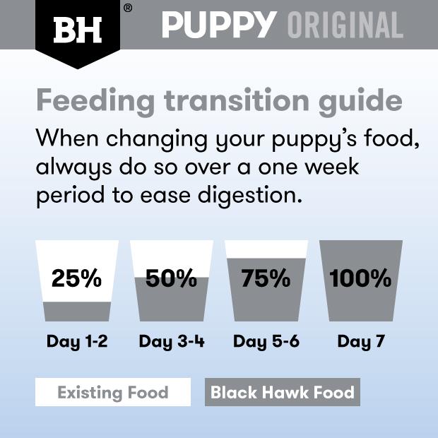 Black Hawk Lamb Puppy Wet Food Pouch