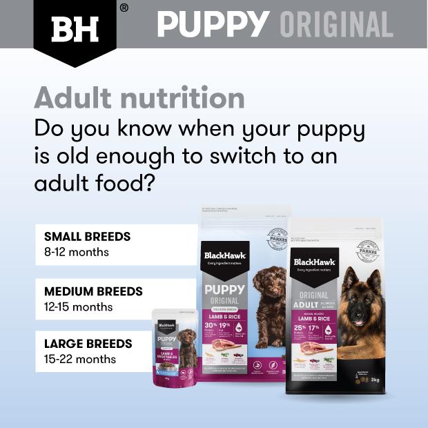 Black Hawk Lamb Puppy Wet Food Pouch