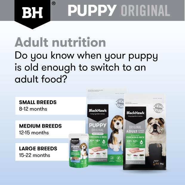 Black Hawk Chicken Puppy Wet Food Pouch