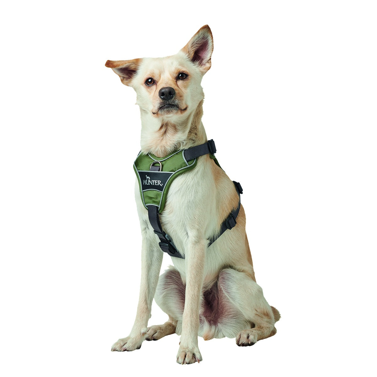 Hunter Divo Ergonomic Dog Harness