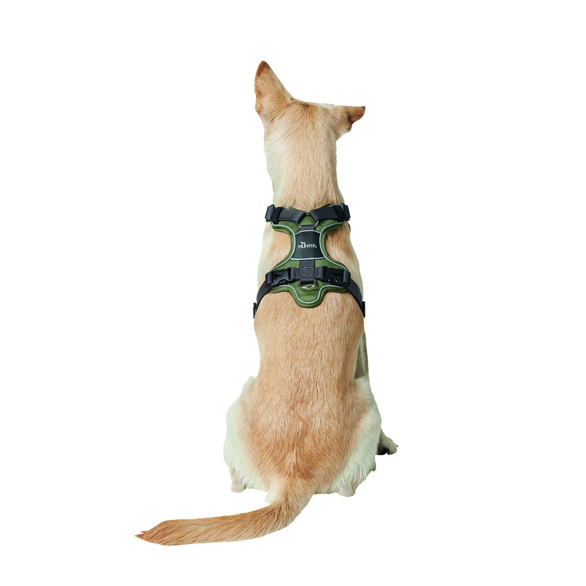 Hunter Divo Ergonomic Dog Harness
