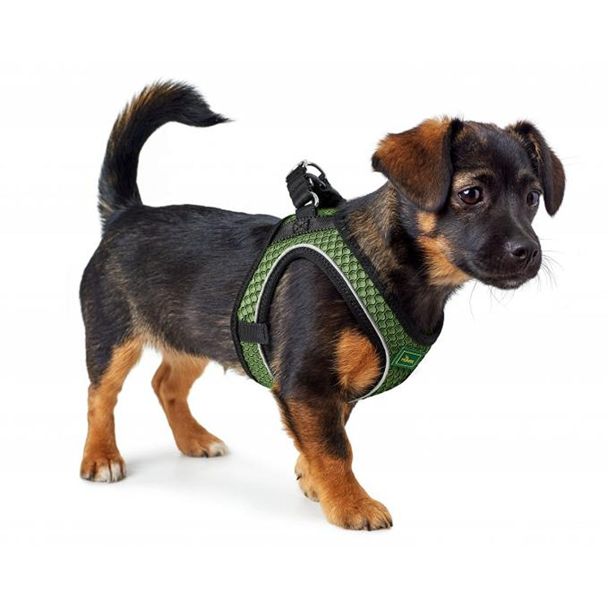 Hunter Hilo Harness for Dogs