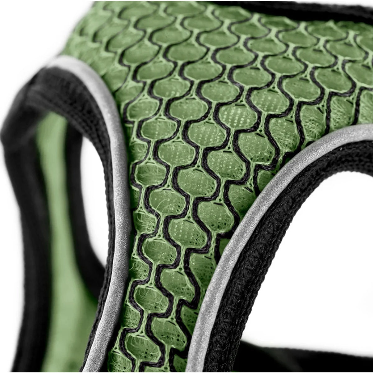 Hunter Hilo Harness for Dogs