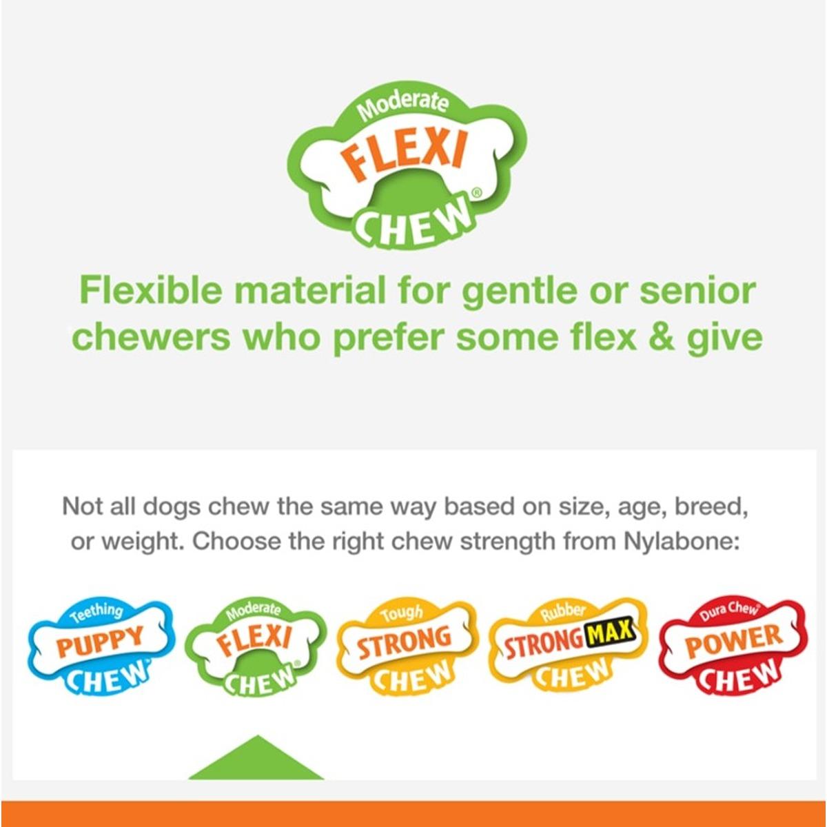 Nylabone Flexi Chew & Healthy Edibles Small Dog Toy Pack