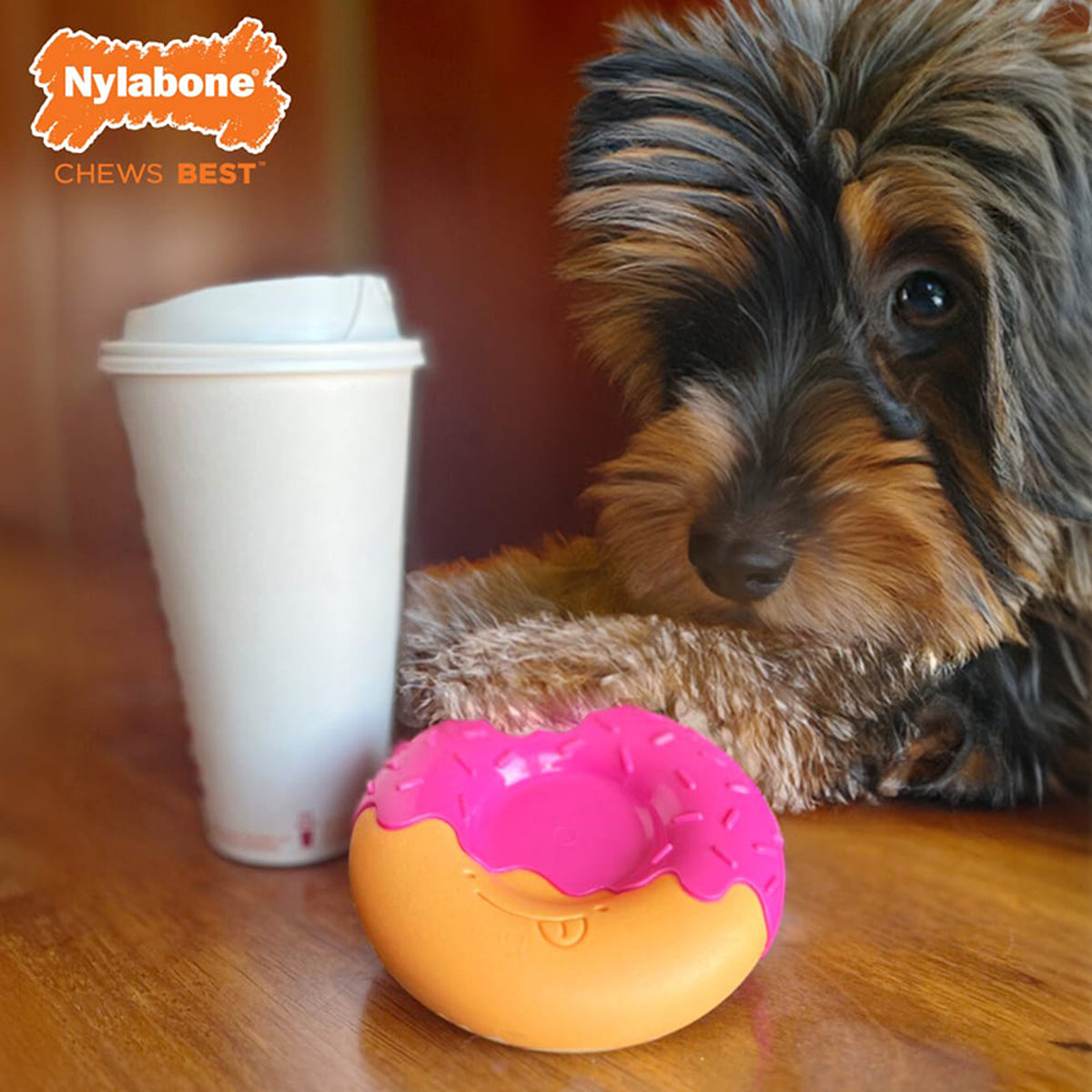 Nylabone Power Chew Donut Bacon Glazed Dog Toy