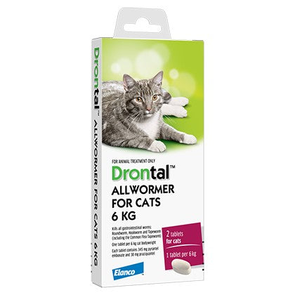 Drontal All Wormer For Cats