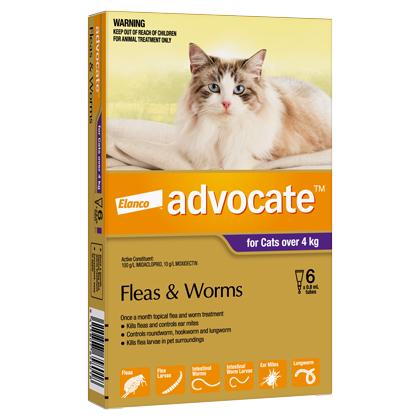 Advocate Spot-On Flea & Worm Treatment for Large Cats 4kg+
