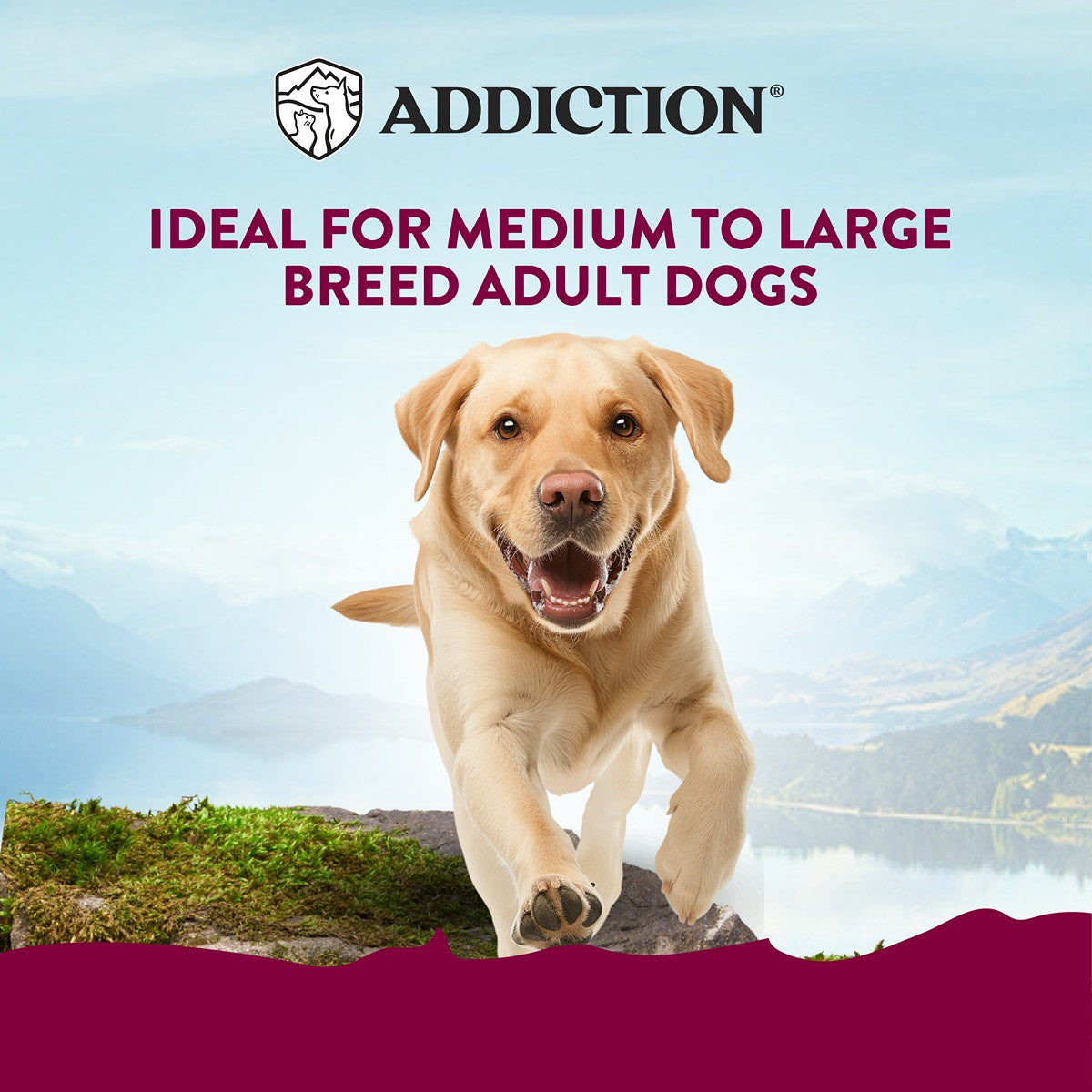 Addiction MEGA Country Chicken Dinner Loaf Wet Dog Food
