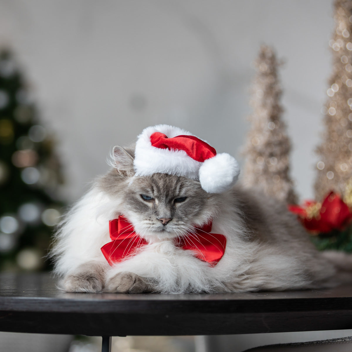 Petstock Christmas Satin Sailor Bow Red