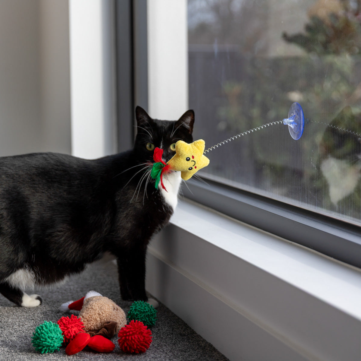 Petstock Christmas Star Suction Cat Teaser