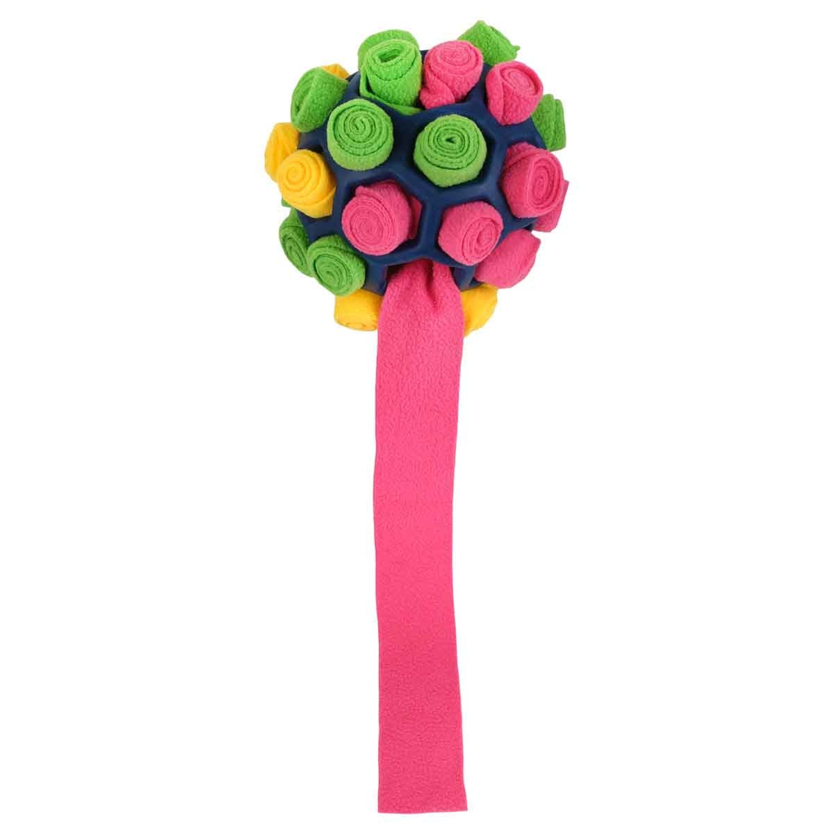Petstock Foundation Snuffle Puzzle Dog Toy