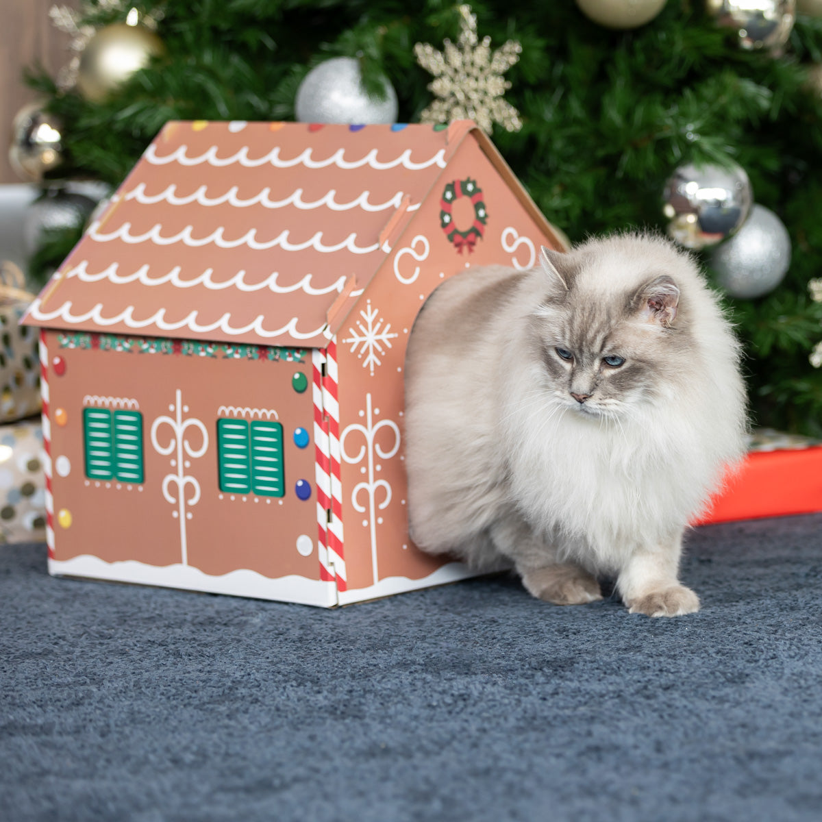 Petstock Christmas Gingerbread House Cat Scratcher Box