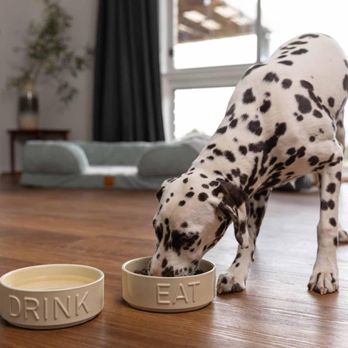 Buddy & Belle Ceramic Bowl Eat-Drink