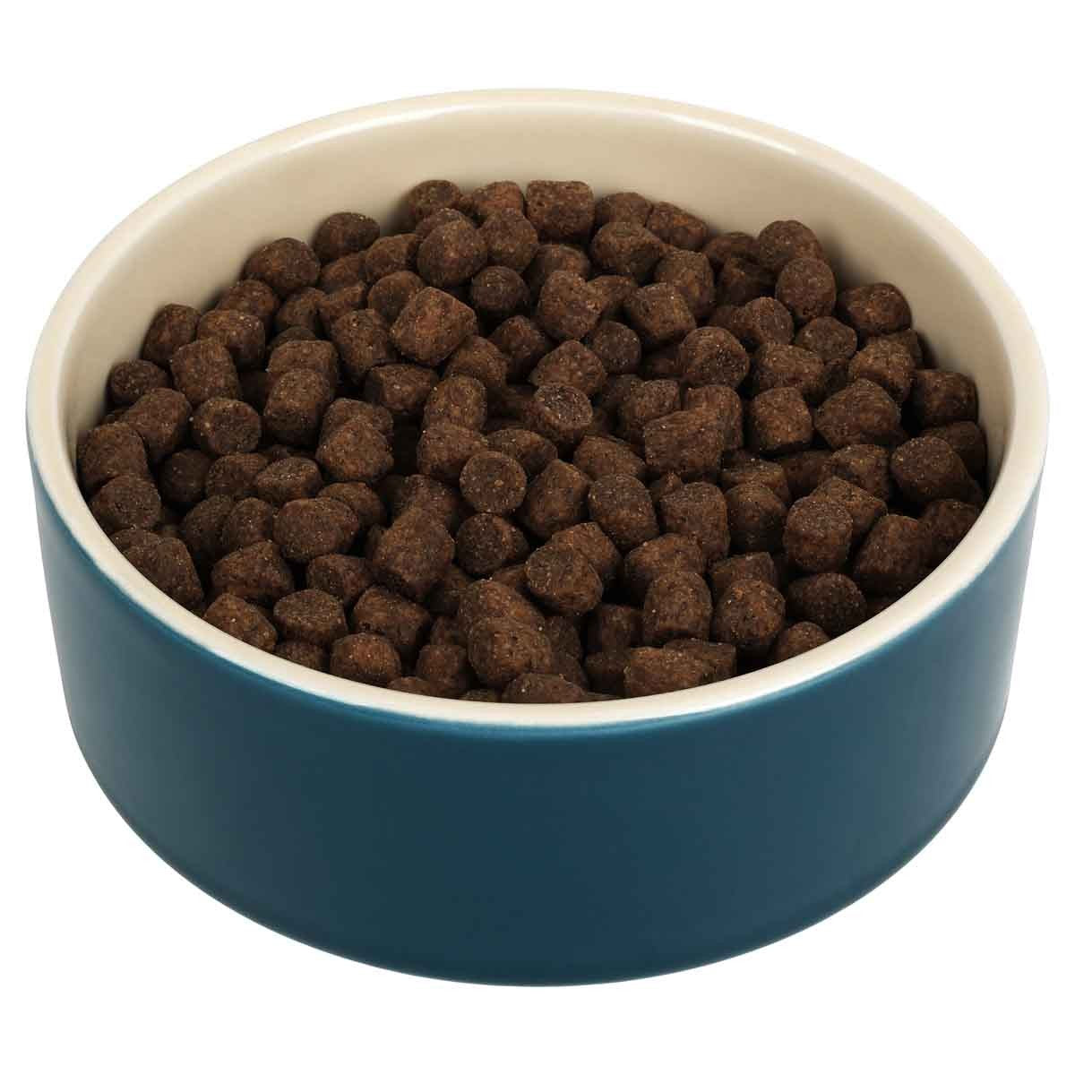 Buddy & Belle Ceramic Bowl Deep Lagoon