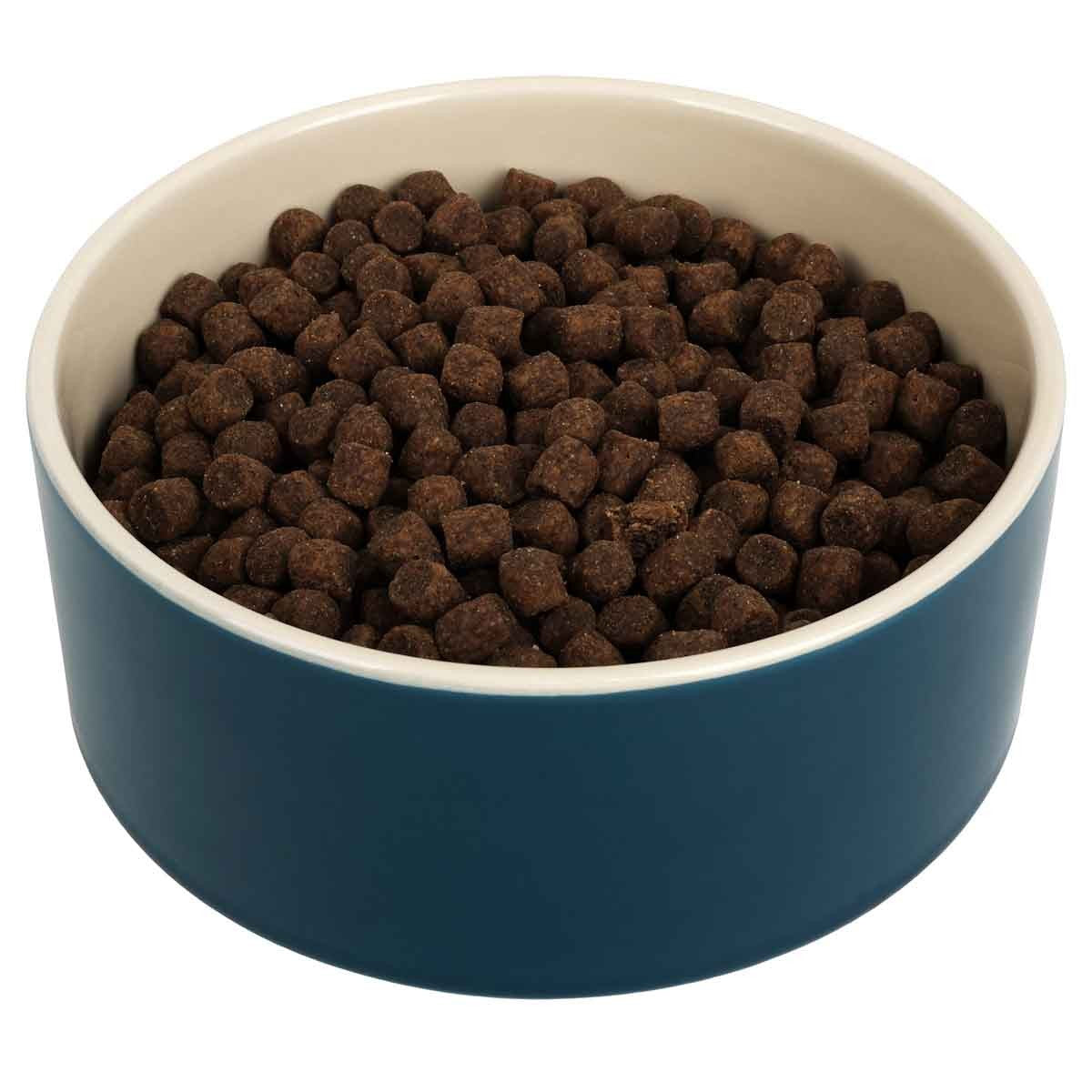 Buddy & Belle Ceramic Bowl Deep Lagoon