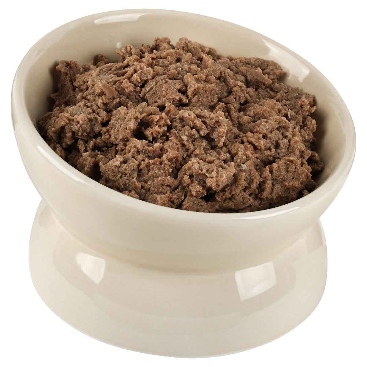 Buddy & Belle Raised Ceramic Cat Bowl