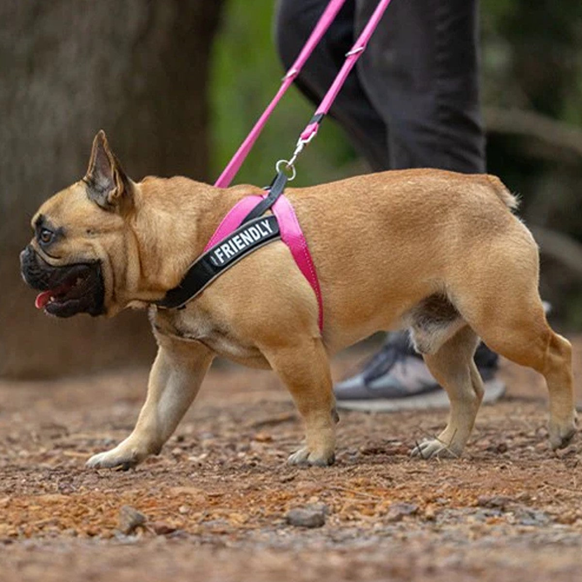 Rogz Utility LetzGo Personalised Dog Harness