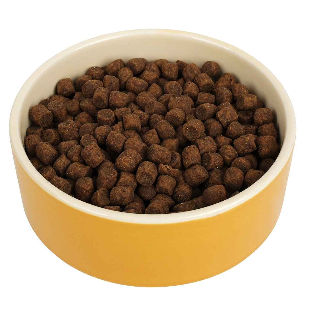 Buddy & Belle Ceramic Bowl Spicy Mustard