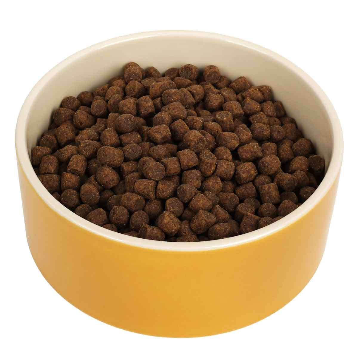 Buddy & Belle Ceramic Bowl Spicy Mustard