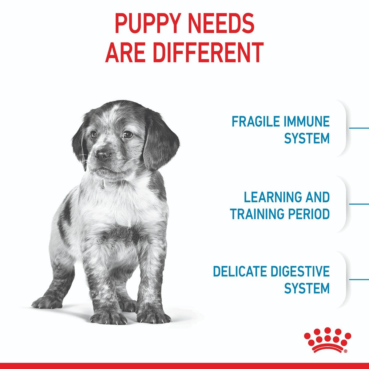 Royal Canin Medium Dry Puppy Food Trial Bag