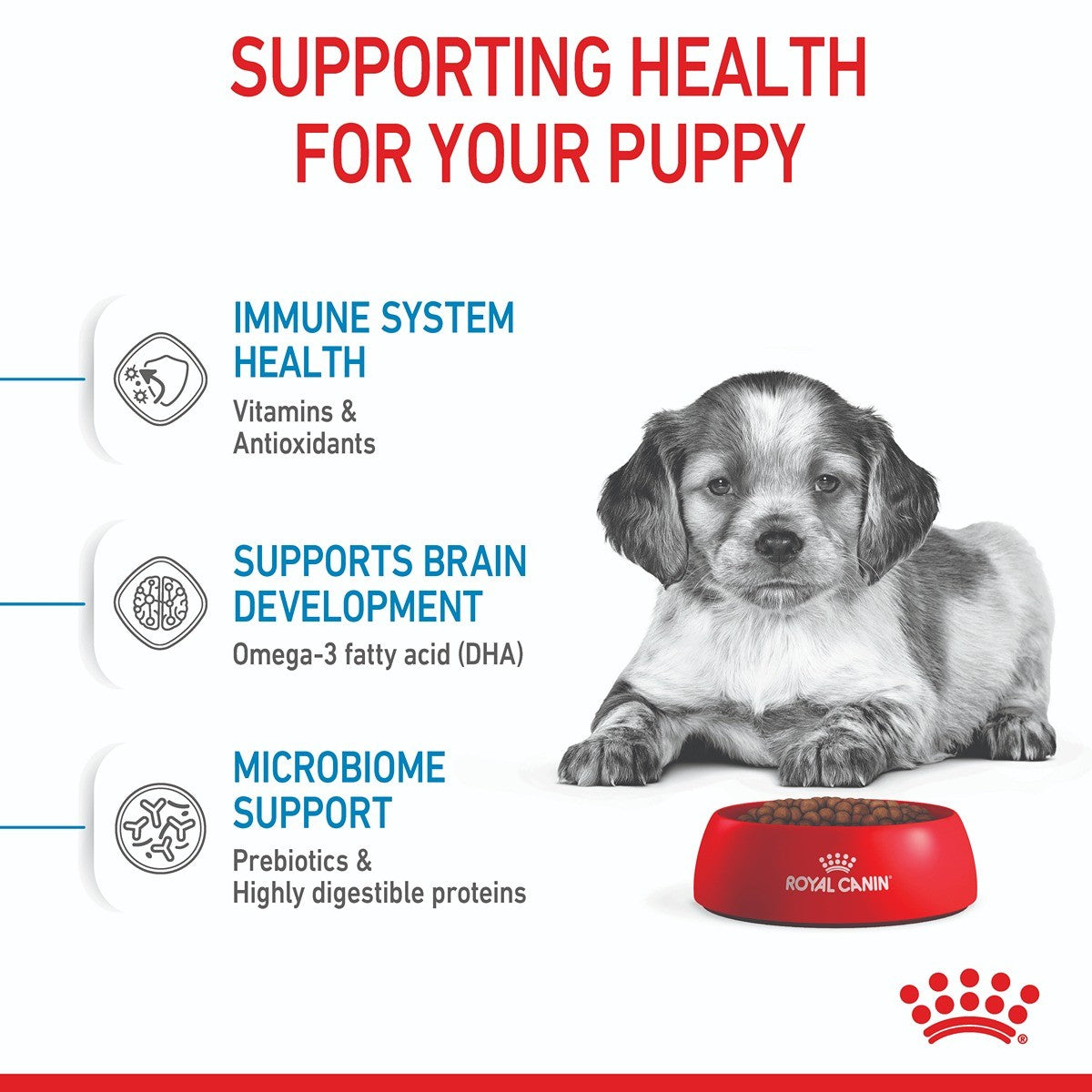 Royal Canin Medium Dry Puppy Food Trial Bag