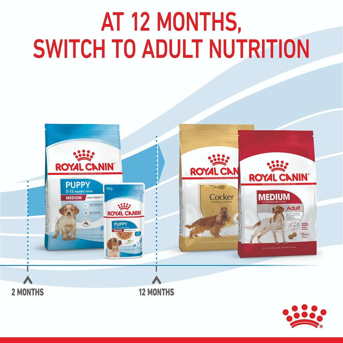 Royal Canin Medium Dry Puppy Food Trial Bag