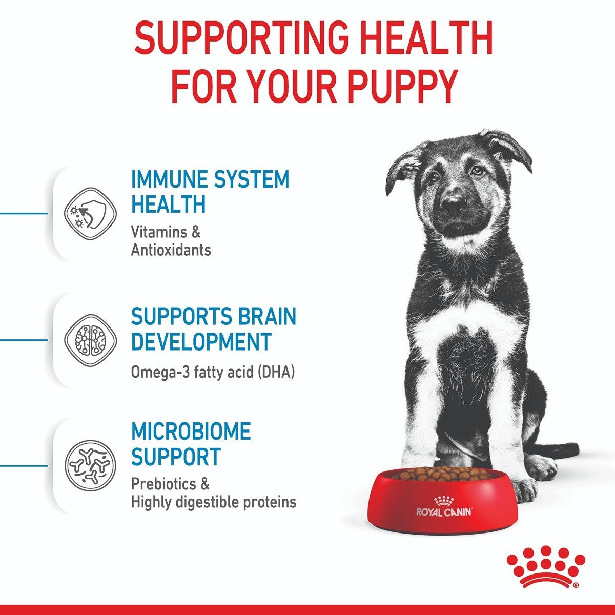 Royal Canin Maxi Dry Puppy Food Trial Bag