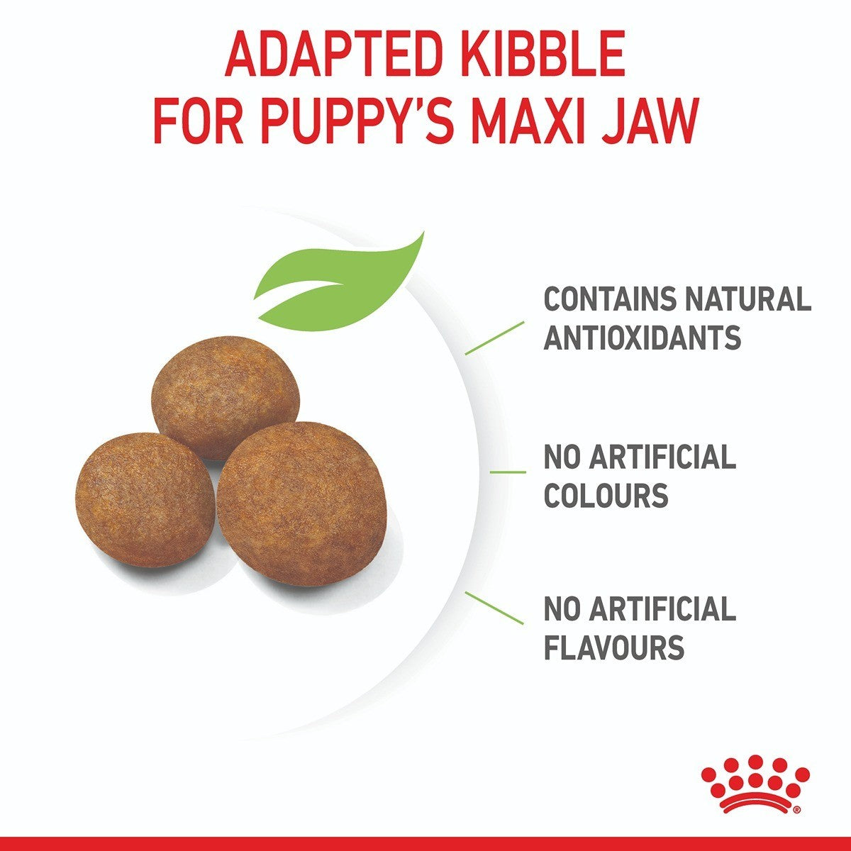 Royal Canin Maxi Dry Puppy Food Trial Bag