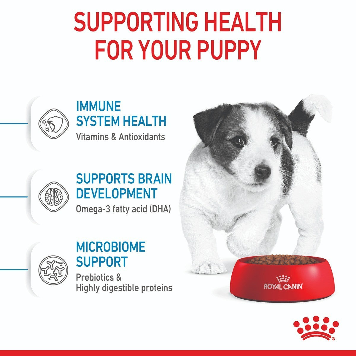 Royal Canin Mini Dry Puppy Food Trial Bag