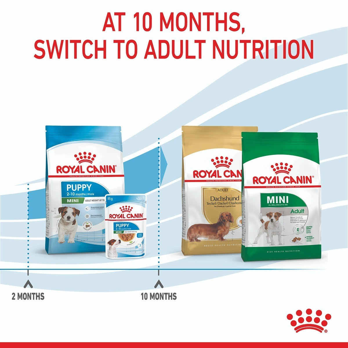 Royal Canin Mini Dry Puppy Food Trial Bag