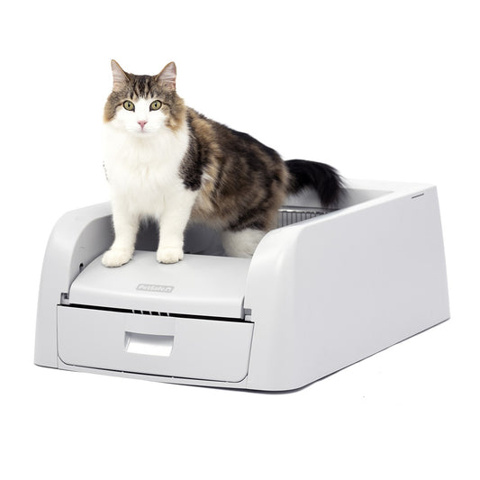 Petsafe ScoopFreeClumping Self-Cleaning Litter Box
