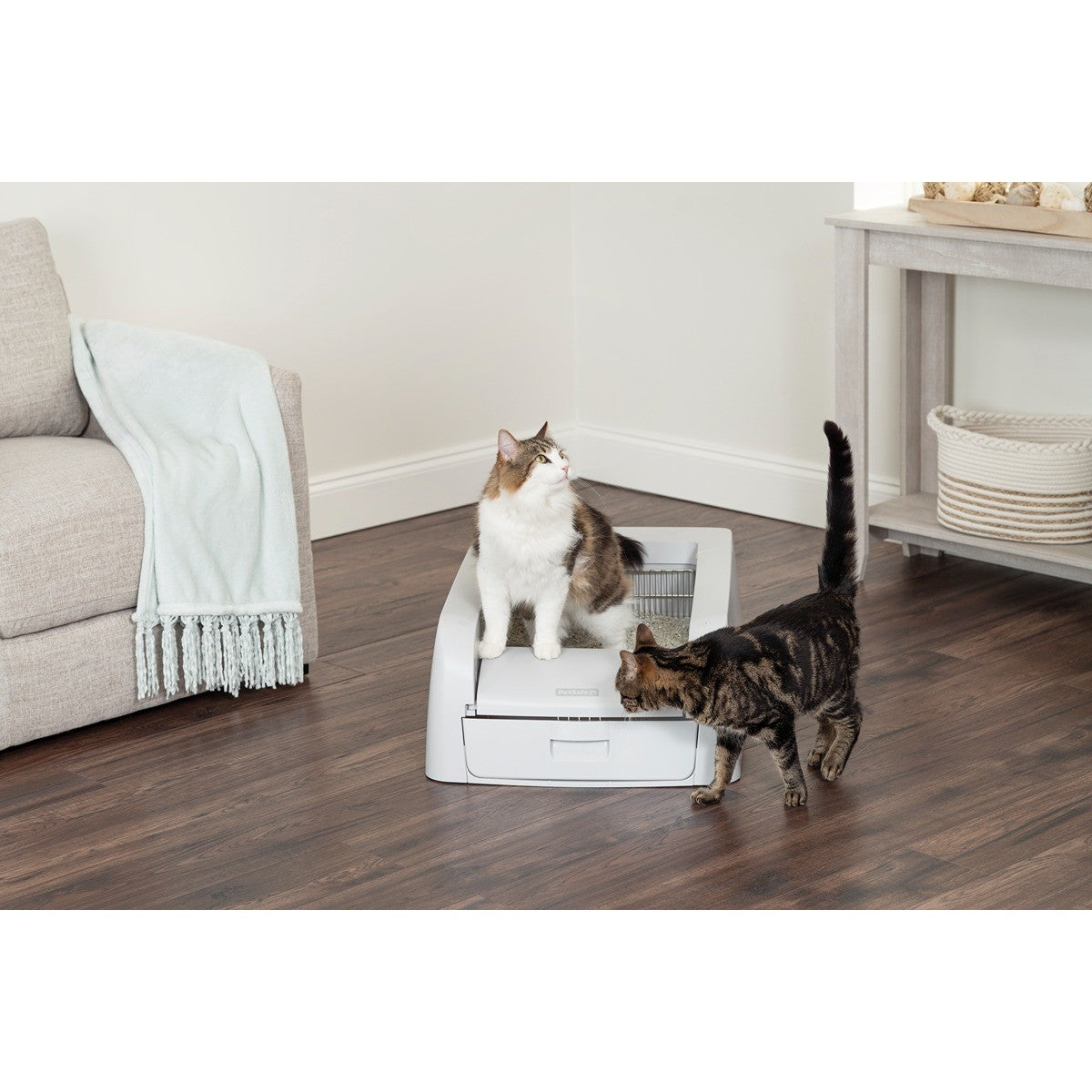 Petsafe ScoopFreeClumping Self-Cleaning Litter Box