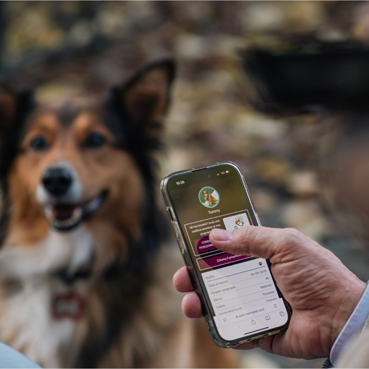 My Family QR Hushtag Bone Pet ID Tag