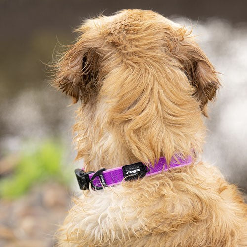 Rogz Amphibian Classic Dog Collar