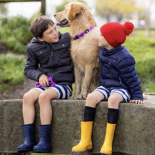 Rogz Amphibian Classic Dog Collar
